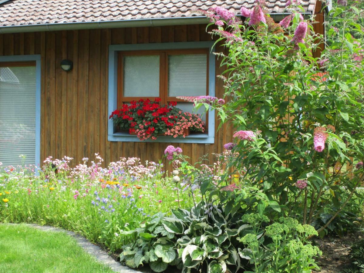 Ferienhaus Studioferienhaus Herzogstadt-celle